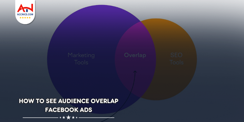 How To See Audience Overlap Facebook Ads